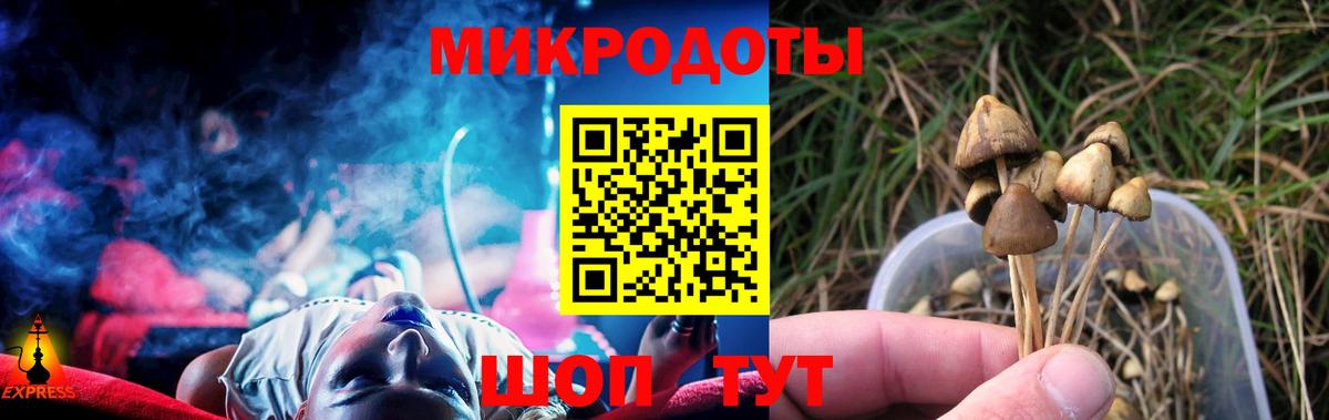Псилоцибиновые грибы ЛСД Коммунар